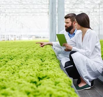 Smart Farm Management System